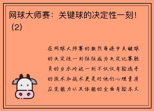 网球大师赛：关键球的决定性一刻！ (2)