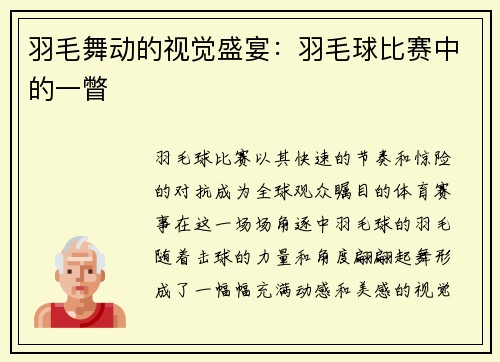 羽毛舞动的视觉盛宴：羽毛球比赛中的一瞥